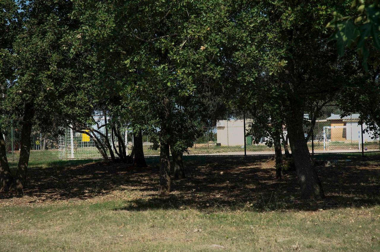 Apartman Matosevic Poreč Kültér fotó